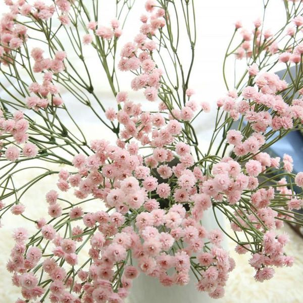 decorative flowers & wreaths 90 heads artificial false baby's breath gypsophila wedding decoration birthday diy po props flower branch
decorative flowers & wreaths 90 heads artificial false baby's breath gypsophila wedding decoration birthday diy po props flower branch