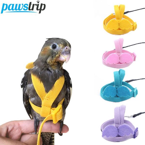 other bird supplies pet parrot harness leash flying rope straps outdoor training traction for budgerigar lovebird cockatiel small birds
other bird supplies pet parrot harness leash flying rope straps outdoor training traction for budgerigar lovebird cockatiel small birds
