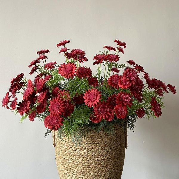 decorative flowers & wreaths artificial daisy cornflower cosmos flower party home ornaments simulation beauties chrysanthemum household wedd
decorative flowers & wreaths artificial daisy cornflower cosmos flower party home ornaments simulation beauties chrysanthemum household wedd