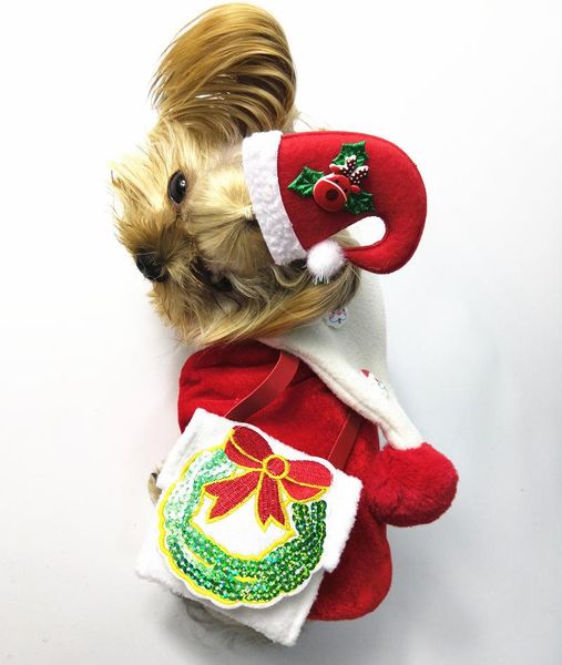 dog apparel costume christmas clothing 2021 pet clothes with snack bags supplies factory wholesale
dog apparel costume christmas clothing 2021 pet clothes with snack bags supplies factory wholesale