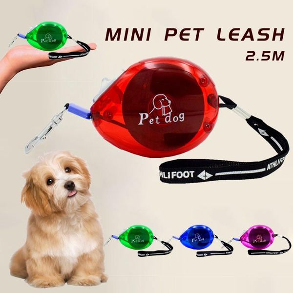 mini automatic retractable dog leash rope outdoor training cat leashes adjustable pet lead belt for puppy small dogs chihuahua collars &
mini automatic retractable dog leash rope outdoor training cat leashes adjustable pet lead belt for puppy small dogs chihuahua collars &