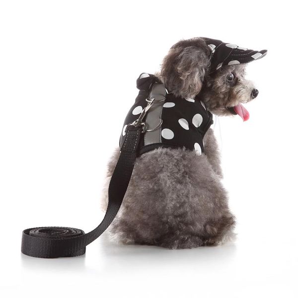 dog collars & leashes pet harness and leash teddy vest puppy chest strap stripe tie neck belt comfort
dog collars & leashes pet harness and leash teddy vest puppy chest strap stripe tie neck belt comfort