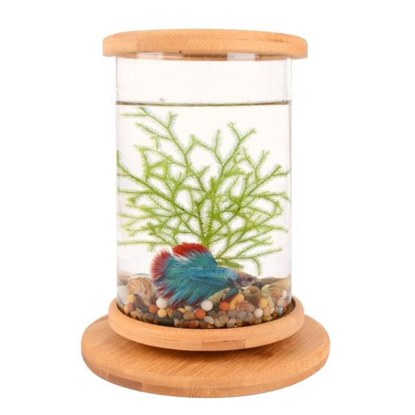 aquariums creative manual rotating glass fish tank with base mini cylinder deskaquarium for betta diameter 10 cm height 15 h056
aquariums creative manual rotating glass fish tank with base mini cylinder deskaquarium for betta diameter 10 cm height 15 h056