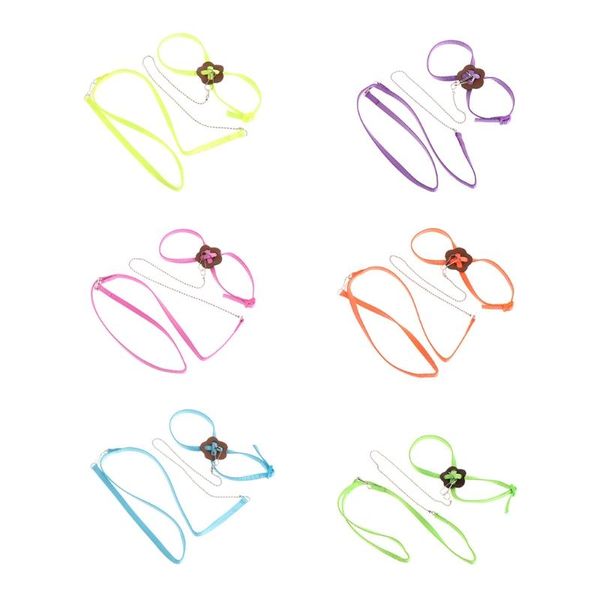 other bird supplies parrot leash outdoor adjustable harness training rope anti bite flying band
other bird supplies parrot leash outdoor adjustable harness training rope anti bite flying band