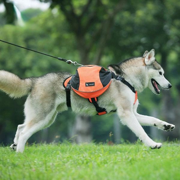 dog apparel pet bag outdoor safety reflective strip easy to control explosion-proof punch double carry work from backpack supplies
dog apparel pet bag outdoor safety reflective strip easy to control explosion-proof punch double carry work from backpack supplies