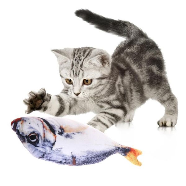 cat toys interactive toy simulation kitten premium plush catnip fish shape chew teaser pet supplies
cat toys interactive toy simulation kitten premium plush catnip fish shape chew teaser pet supplies