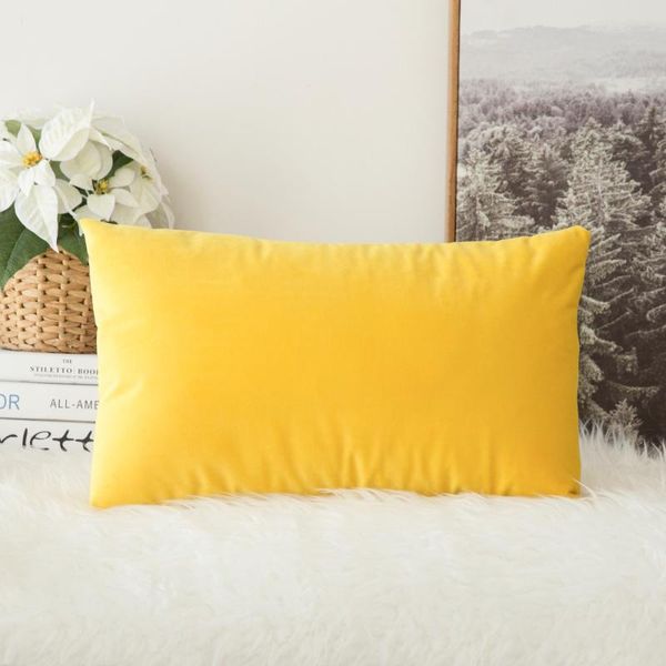 decorative velvet throw pillow cover soft comfortable soild square cushion case for sofa bedroom car 30 x 50 cm cushion/decorative
decorative velvet throw pillow cover soft comfortable soild square cushion case for sofa bedroom car 30 x 50 cm cushion/decorative