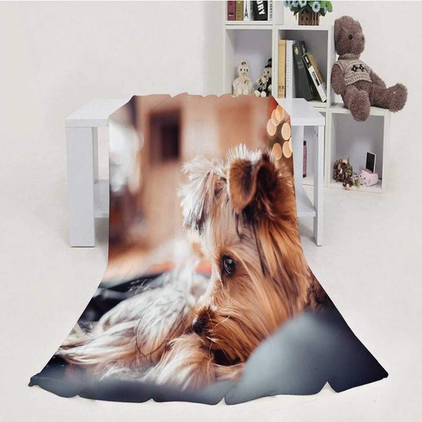 cute puppy on christmas,blanket throw super soft m cozy velvet decoration for couch bed sofa 50''x60''(wxl)
cute puppy on christmas,blanket throw super soft m cozy velvet decoration for couch bed sofa 50''x60''(wxl)