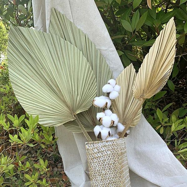 palm fan leaf dried flower cycad window reception for wedding home party arch arrangement art wall hanging decoration decorative flowers & w
palm fan leaf dried flower cycad window reception for wedding home party arch arrangement art wall hanging decoration decorative flowers & w
