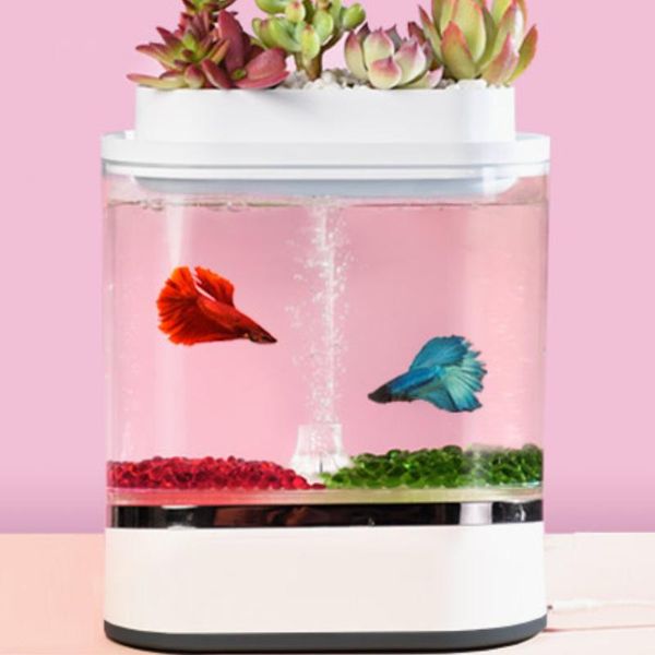 aquariums mini fish tank deskmarine aquarium with water filter led light lazy air pump portable decoration
aquariums mini fish tank deskmarine aquarium with water filter led light lazy air pump portable decoration