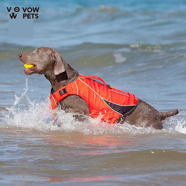 dog apparel summer swimming clothes for the huge teddy pet your golden retriever swimsuit life jacket vow pets 2021
dog apparel summer swimming clothes for the huge teddy pet your golden retriever swimsuit life jacket vow pets 2021