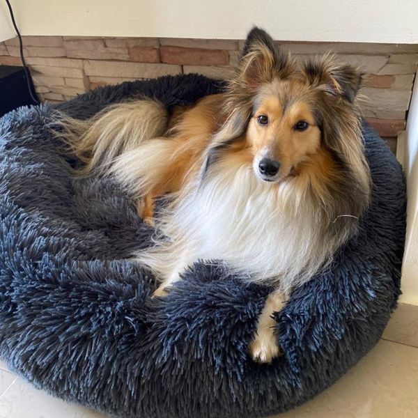 hand wash 100% cotton breathable dog beds for small dogs sofas pet kennel super soft fluffy comfortable large kennels & pens
hand wash 100% cotton breathable dog beds for small dogs sofas pet kennel super soft fluffy comfortable large kennels & pens