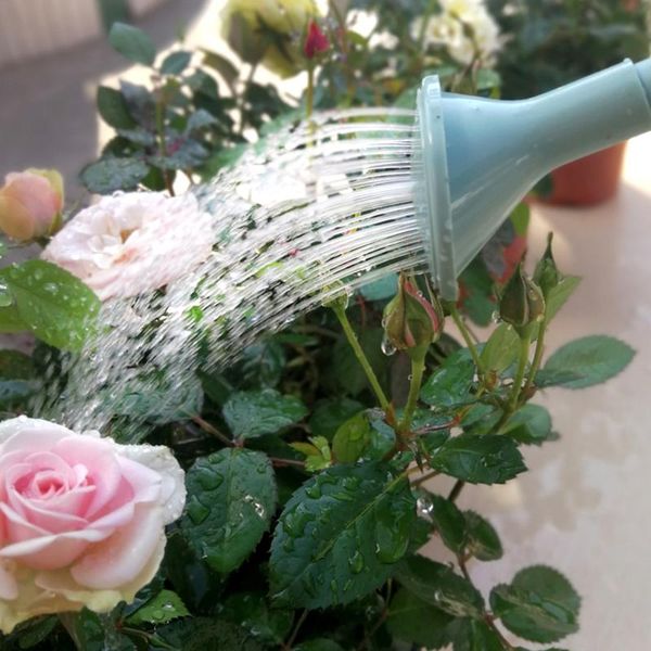 watering equipments candy color with long spout widened handle 1.8l resin garden accessory for plants / flowers
watering equipments candy color with long spout widened handle 1.8l resin garden accessory for plants / flowers