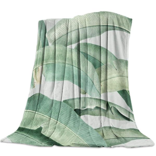 Throw Fleece Bed Blanket Tropical Plant Flannel Blankets Warm and Cozy Throws for Sofa,Couch,Chair, All Seasons Use 80x60
Throw Fleece Bed Blanket Tropical Plant Flannel Blankets Warm and Cozy Throws for Sofa,Couch,Chair, All Seasons Use 80x60