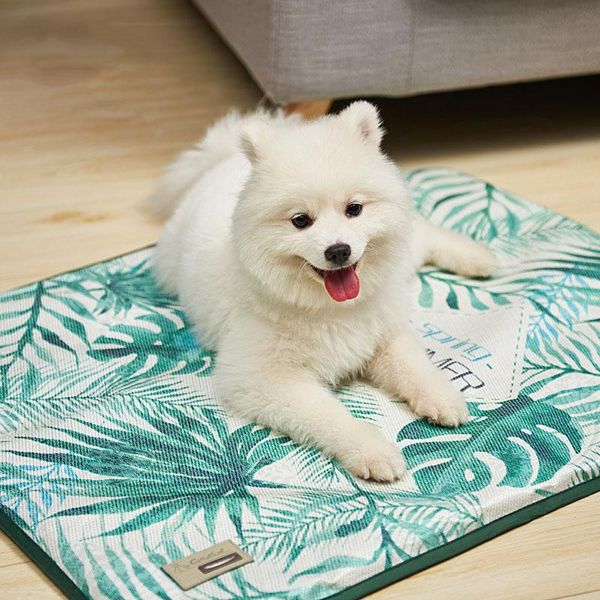 kennels & pens pet supplies cool dog cushion removable and washable suitable for large, medium small summer cat bed accessories
kennels & pens pet supplies cool dog cushion removable and washable suitable for large, medium small summer cat bed accessories