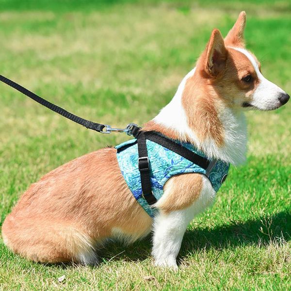 dog collars & leashes harness with leash ocean breeze pet adjustable reflective vest walk lead durable polyester mesh for small medium
dog collars & leashes harness with leash ocean breeze pet adjustable reflective vest walk lead durable polyester mesh for small medium