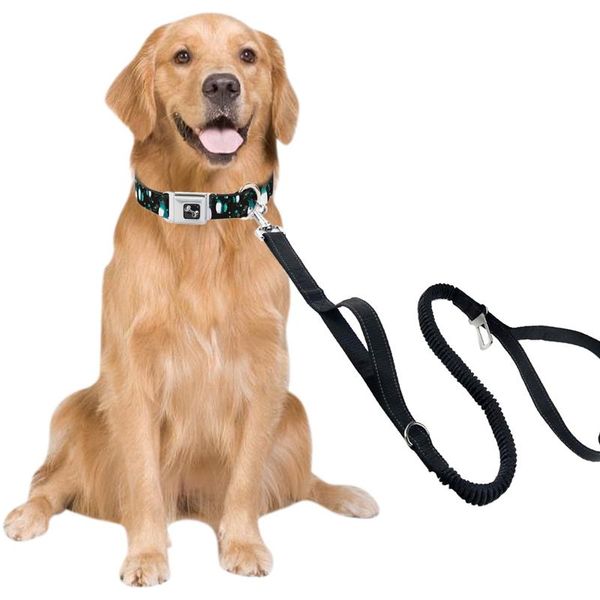 dog collars & leashes night walking safety leash small-medium dogs reflective leading rope for training
dog collars & leashes night walking safety leash small-medium dogs reflective leading rope for training