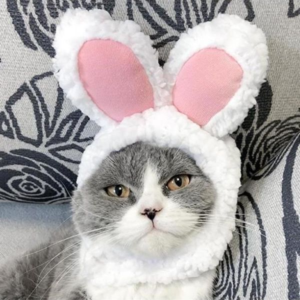 cat costumes funny easter cute plush costume cap headdress hat with ears for cats and small dogs pet products 2021
cat costumes funny easter cute plush costume cap headdress hat with ears for cats and small dogs pet products 2021
