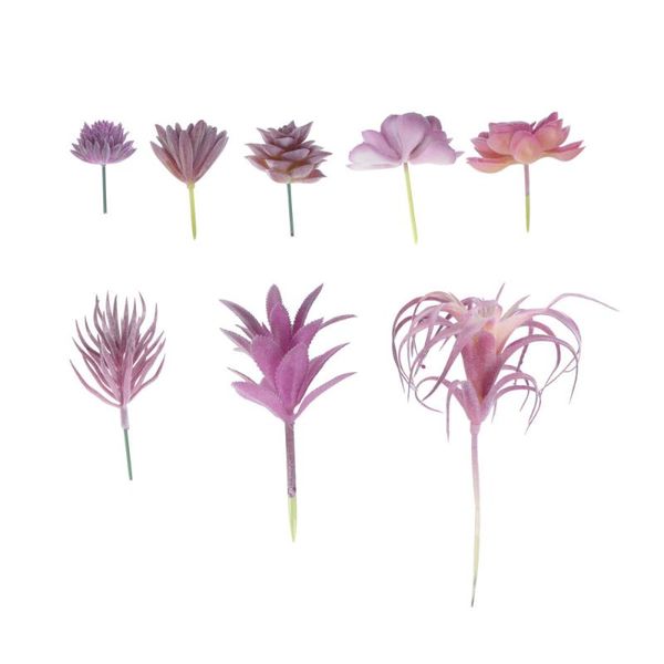 decorative flowers & wreaths 8pcs simulated succulent plants artificial decor (violet)
decorative flowers & wreaths 8pcs simulated succulent plants artificial decor (violet)