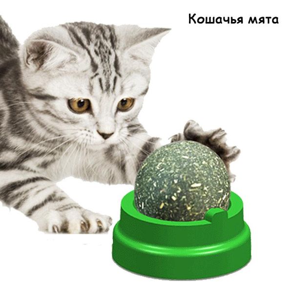 pet catnip toy edible energy ball natural safe and healthy cat family chase game rotatable to clean teeth toys
pet catnip toy edible energy ball natural safe and healthy cat family chase game rotatable to clean teeth toys