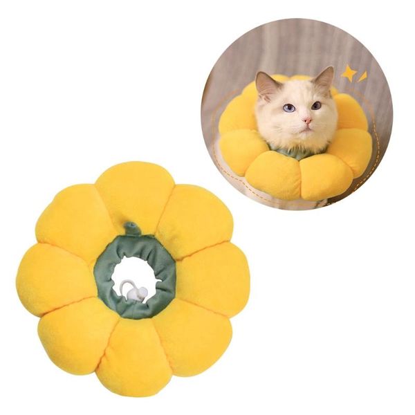 cat costumes 066e pet recovery collar elizabeth cone with cute flower shape soft cotton comfortable for
cat costumes 066e pet recovery collar elizabeth cone with cute flower shape soft cotton comfortable for