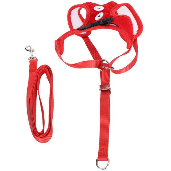 cat collars & leads breakaway collar cute bow vests harness and leash products accessories with for cats or puppies
cat collars & leads breakaway collar cute bow vests harness and leash products accessories with for cats or puppies