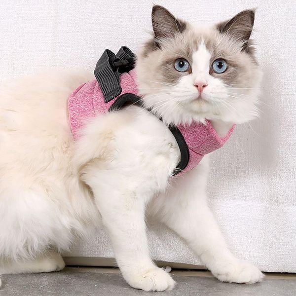 cat collars & leads harness escape proof small and dog vest with reflective strap soft mesh adjustable walking jacket for kitten
cat collars & leads harness escape proof small and dog vest with reflective strap soft mesh adjustable walking jacket for kitten