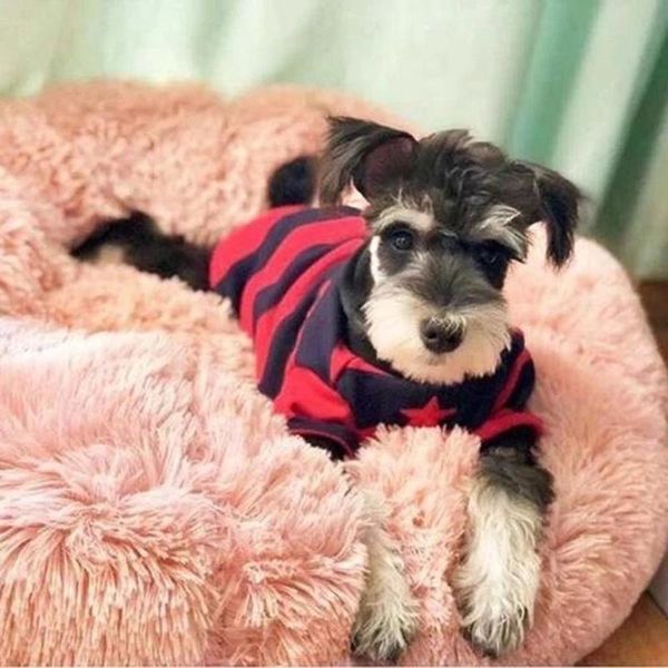 cat beds & furniture practical durable portable round long soft plush creative kennel cats litter deep sleep dog bed pets supplies
cat beds & furniture practical durable portable round long soft plush creative kennel cats litter deep sleep dog bed pets supplies