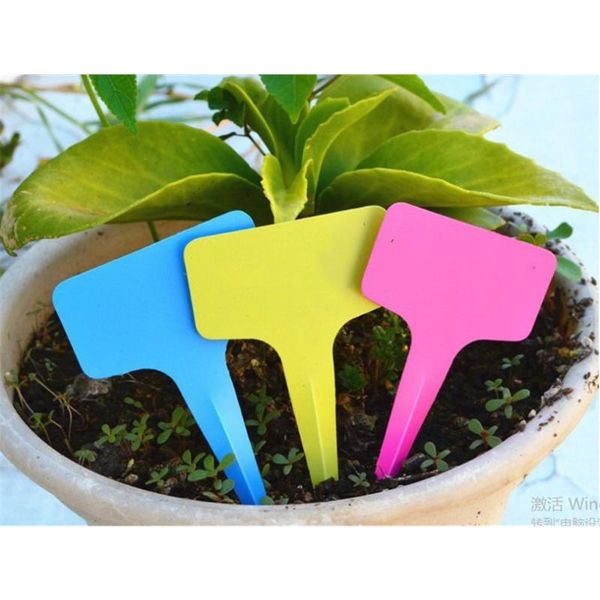 other garden supplies 100 pcs kleurrijke kwekerij plant tag bloem labels zaad gelabeld pot marker voor planten diy tuin decoratie gereedscha
other garden supplies 100 pcs kleurrijke kwekerij plant tag bloem labels zaad gelabeld pot marker voor planten diy tuin decoratie gereedscha
