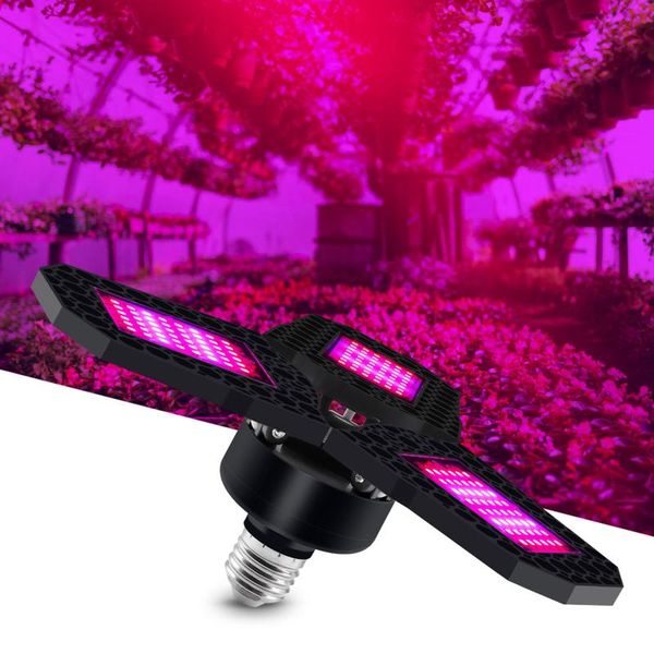 85-265v e27 led grow light 3 blades full spectrum adjustable foldable transform plant growth for indoor greenhouse tent lights
85-265v e27 led grow light 3 blades full spectrum adjustable foldable transform plant growth for indoor greenhouse tent lights