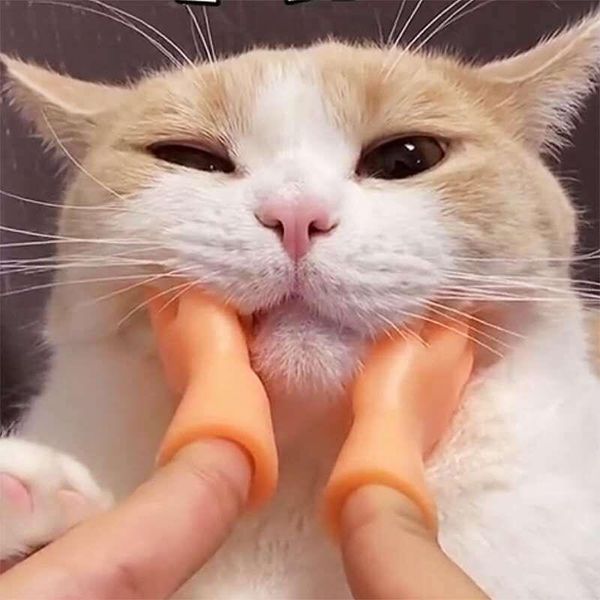 cat toy funny interactive pet toys kitten puzzle massage cleaning supplies gatos mascotas accesorios dla kota juguetes jouet
cat toy funny interactive pet toys kitten puzzle massage cleaning supplies gatos mascotas accesorios dla kota juguetes jouet