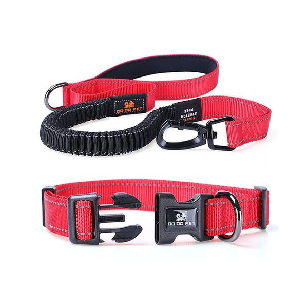double handle dog leash adjustable collar set reflective pet walking jogging stretchable bungee lead rope for large harness collars & leashe
double handle dog leash adjustable collar set reflective pet walking jogging stretchable bungee lead rope for large harness collars & leashe