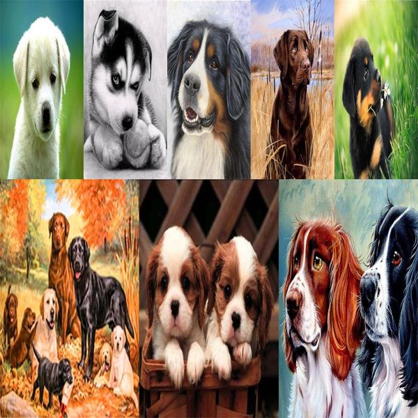 diamond painting diamonds 5d diy full of round mosaic embroidery cute pets loyal dogs 20x30 size animal picture cross stitch
diamond painting diamonds 5d diy full of round mosaic embroidery cute pets loyal dogs 20x30 size animal picture cross stitch