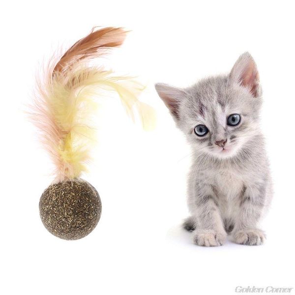 nature kitten feature toy teeth cleaning catnip ball pet accessories f17 21 drop cat toys
nature kitten feature toy teeth cleaning catnip ball pet accessories f17 21 drop cat toys