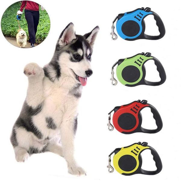 dog collars & leashes 3m/5m automatic leash retractable flexible rope adjustable extending leashses for small medium dogs pet product
dog collars & leashes 3m/5m automatic leash retractable flexible rope adjustable extending leashses for small medium dogs pet product