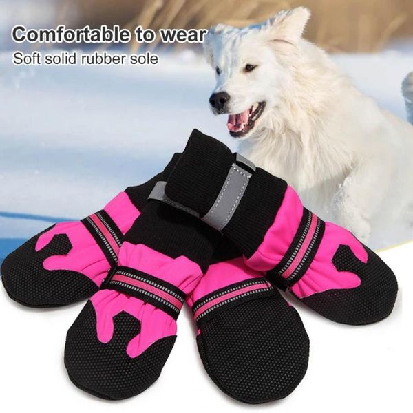 dog apparel pet shoes soft sole anti-skid skin friendly waterproof sneaker boots for small dogs
dog apparel pet shoes soft sole anti-skid skin friendly waterproof sneaker boots for small dogs