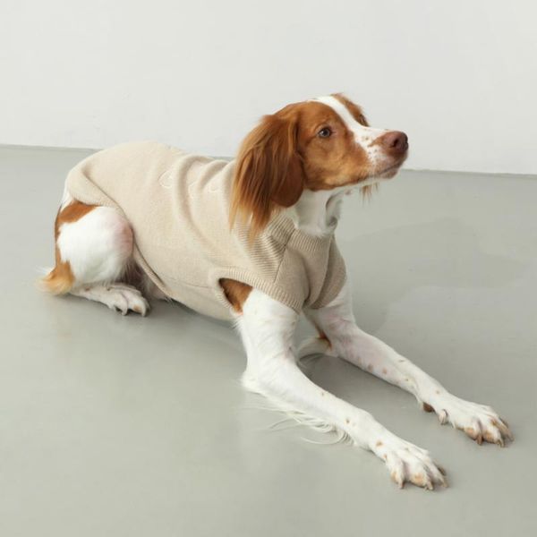 dog apparel small-large sweater autumn and winter warm thick clothes brittany hound labrador greyhound coats accessories
dog apparel small-large sweater autumn and winter warm thick clothes brittany hound labrador greyhound coats accessories