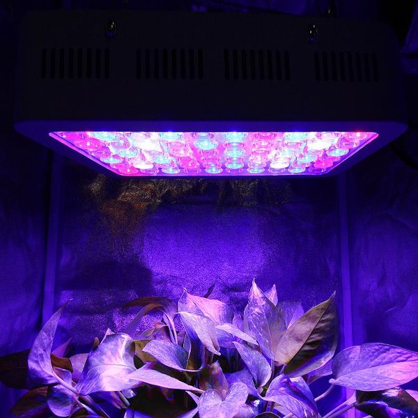 phyto grow lamp ac 85-265v plant light 600w led hydroponics indoor tent box veg seed lights
phyto grow lamp ac 85-265v plant light 600w led hydroponics indoor tent box veg seed lights