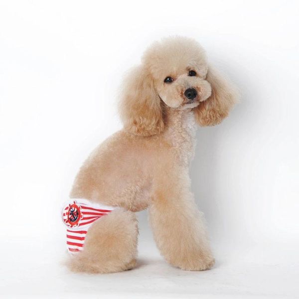 dog apparel female physiological pants for puppy washable durable doggie diapers underwear blue red black slk803
dog apparel female physiological pants for puppy washable durable doggie diapers underwear blue red black slk803