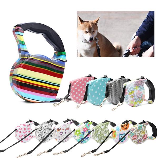strong nylon dog lead leash extending puppy pet walking leads automatic retractable for dogs products collars & leashes
strong nylon dog lead leash extending puppy pet walking leads automatic retractable for dogs products collars & leashes