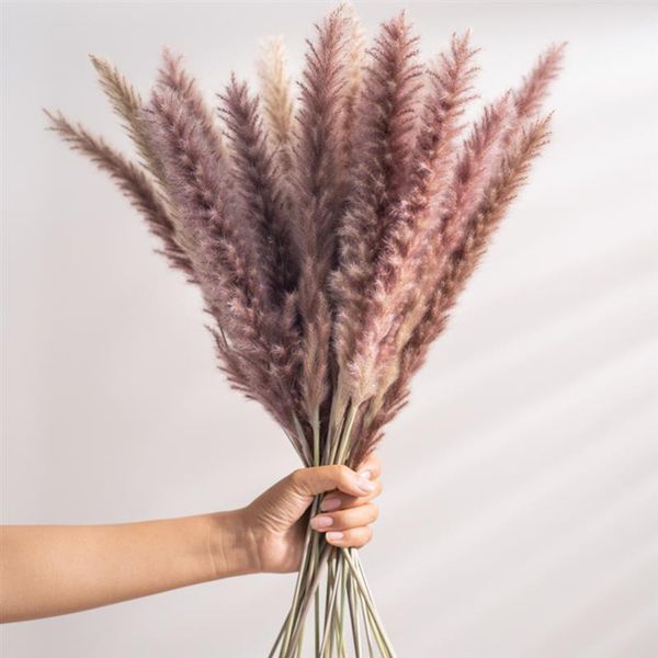 decorative flowers & wreaths bulrush natural dried artificial plants branch colorful ins pampas grass phragmites fake flower home wedding de
decorative flowers & wreaths bulrush natural dried artificial plants branch colorful ins pampas grass phragmites fake flower home wedding de