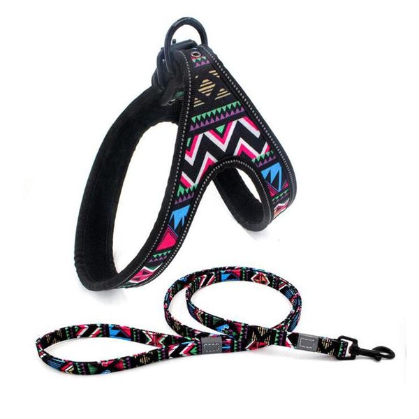 dog collars & leashes colorful protective pet vest harness nylon training walking pattern easy control handle
dog collars & leashes colorful protective pet vest harness nylon training walking pattern easy control handle