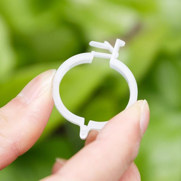 100pc plastic trellis tomato clips supports connects plants vines twine cages greenhouse veggie garden plant clip 2021 party favor
100pc plastic trellis tomato clips supports connects plants vines twine cages greenhouse veggie garden plant clip 2021 party favor