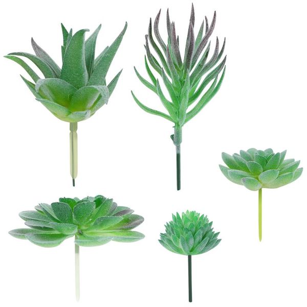 decorative flowers & wreaths winomo 5pcs realistic succulents artificial green plants fake for indoor home office
decorative flowers & wreaths winomo 5pcs realistic succulents artificial green plants fake for indoor home office