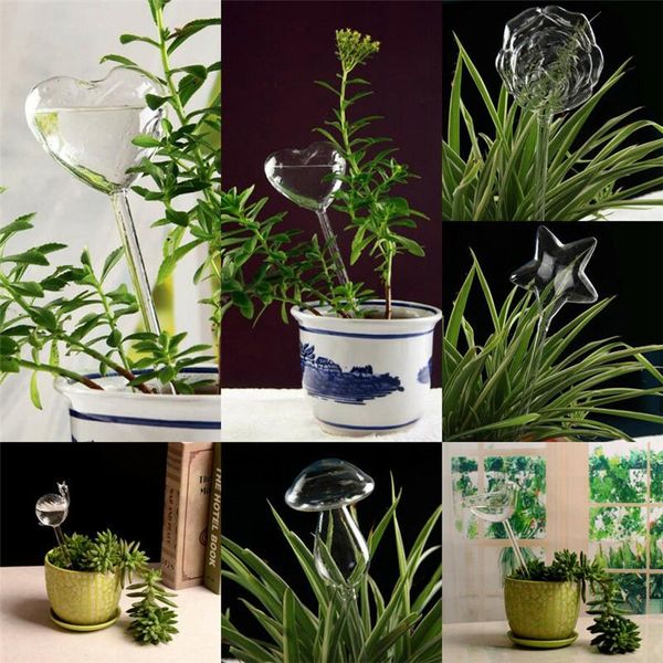 watering equipments 6 types glass plant flowers water feeder self bird design waterer device
watering equipments 6 types glass plant flowers water feeder self bird design waterer device