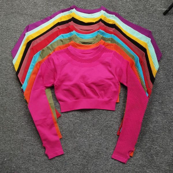 yoga sports crop long sleeve gym women's seamless t-shirt fitness woman sport workout for sportswear
yoga sports crop long sleeve gym women's seamless t-shirt fitness woman sport workout for sportswear