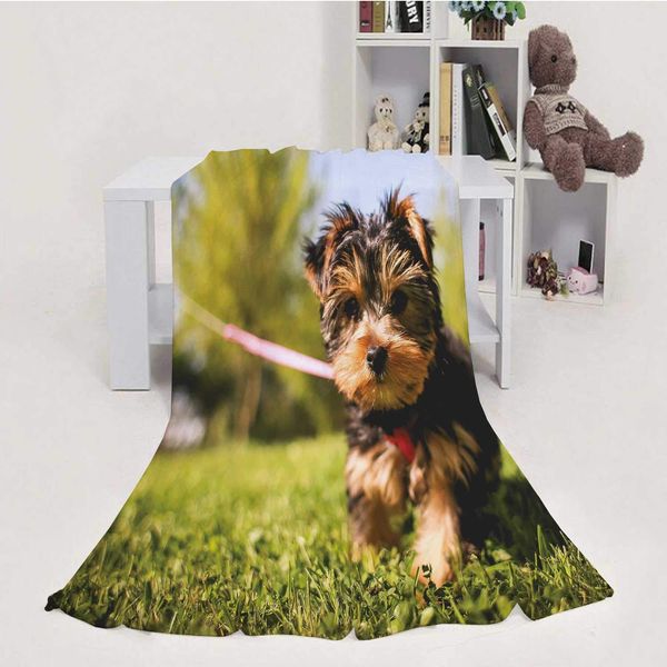 cute yorkshire puppy in the garden,soft luxuries throw blanket microfiber soft throw 50''x60''(wxl)
cute yorkshire puppy in the garden,soft luxuries throw blanket microfiber soft throw 50''x60''(wxl)