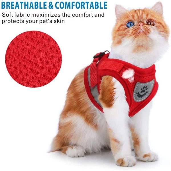 cat collars & leads breathable harness and leash escape proof pet clothes kitten puppy dogs vest adjustable easy control reflective
cat collars & leads breathable harness and leash escape proof pet clothes kitten puppy dogs vest adjustable easy control reflective