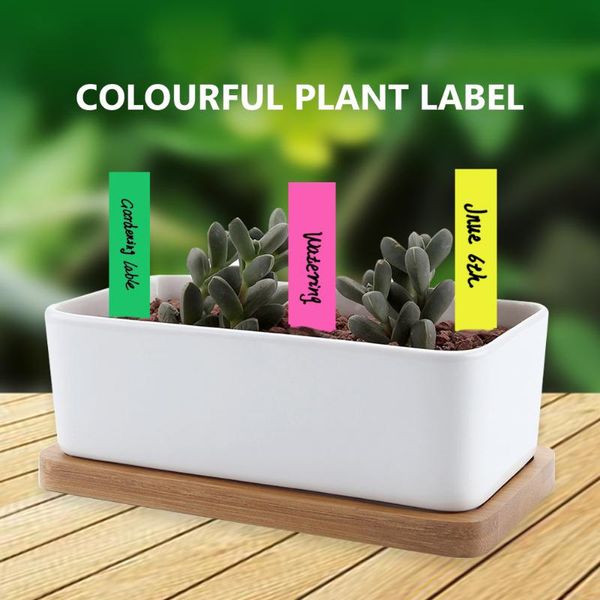 garden decorations 100/300pcs plastic flower nursery tags marker gardening tool stick tag labels accessories seeding tray for plants marke
garden decorations 100/300pcs plastic flower nursery tags marker gardening tool stick tag labels accessories seeding tray for plants marke