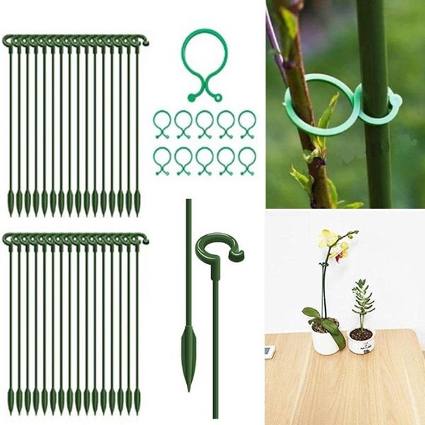 other garden supplies 50pcs botany-stem vine straps clips plant holder tomato flowers fixed suppor arrival
other garden supplies 50pcs botany-stem vine straps clips plant holder tomato flowers fixed suppor arrival